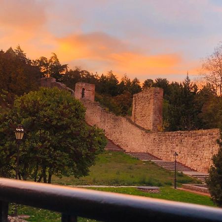 El Capricho Del Arco_Apartamentos Burgos Catedral エクステリア 写真